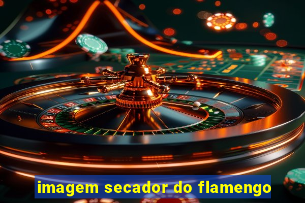 imagem secador do flamengo